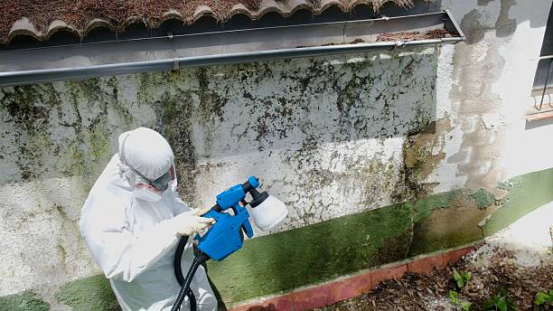 Top rated local Mold Remediation specialists in Hood River, OR